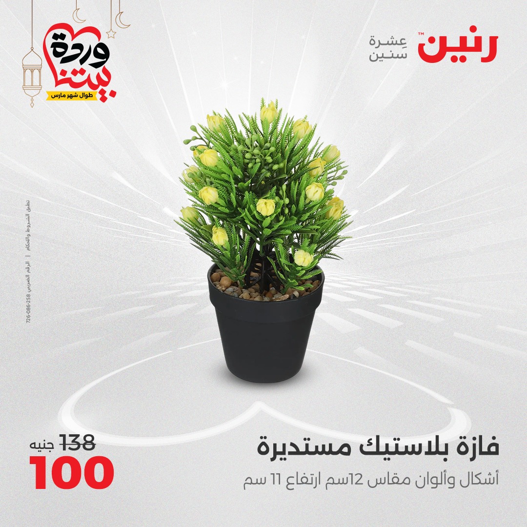 raneen offers from 16mar to 17mar 2025 عروض رنين من 16 مارس حتى 17 مارس 2025 صفحة رقم 37